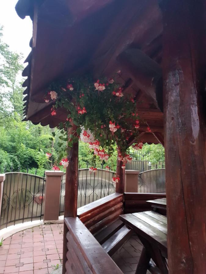 Pensiunea Heaven Bascov エクステリア 写真